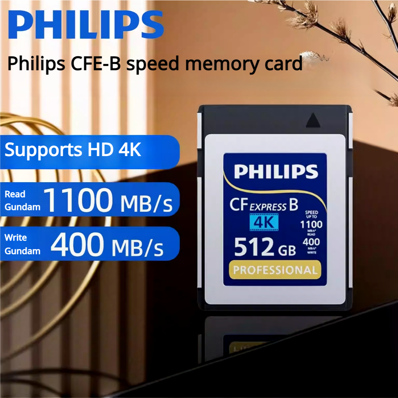 CFE-B Card